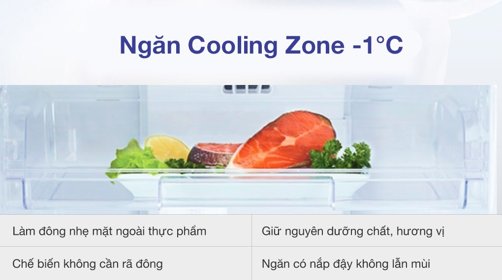 Tủ Lạnh Toshiba Inverter 249 Lít GR-RT325WE-PMV(06)-MG - ngăn cooling Zone